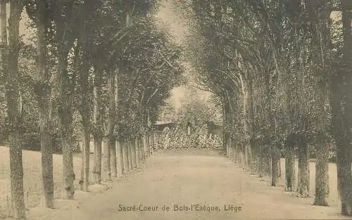 Belgium Liege Sacre Coeur de Bois l'Eveque