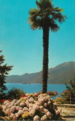Postcard Switzerland Lago Maggiore and Isola Brissago