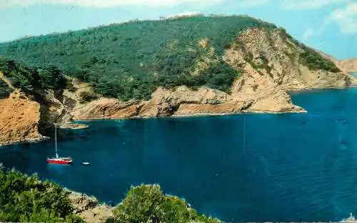 Postcard France Ile de Porquerolles