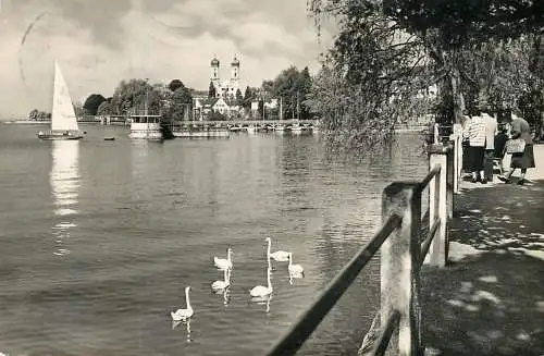 Postcard Germany Friedrichshafen am Bodensee