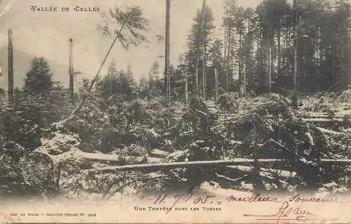 Postcard France Vallee de Celles
