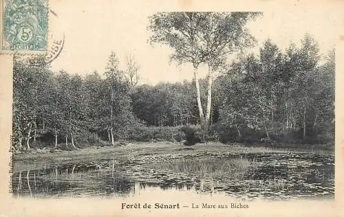 Postcard France Foret de Senart la mare aux biches
