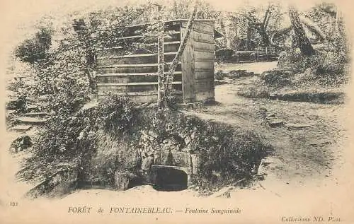 Postcard France Fontainebleau foret fontaine Sanguinede