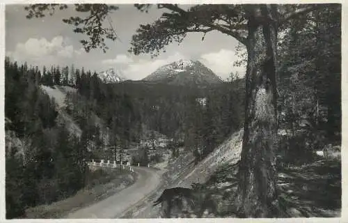 Slovakia Vysoke Tatry Gerlachovsky stift