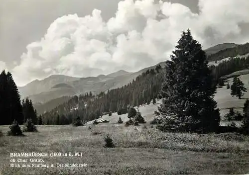 Postcard Switzerland Brambruesch ob Chur Graub