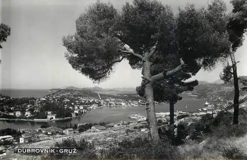 Postcard Croatia Dubrovnik Gruz