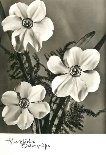 Postcard flower scene