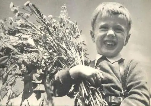 Postcard Switzerland Bern child smile nature