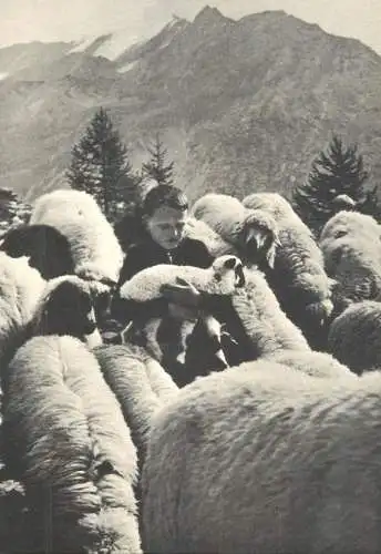Postcard Switzerland Bern child and lamb
