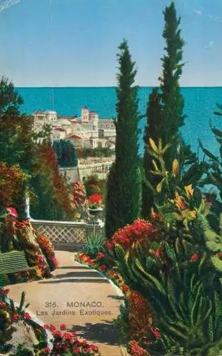 Postcard Monaco Monte Carlo exotical gardens