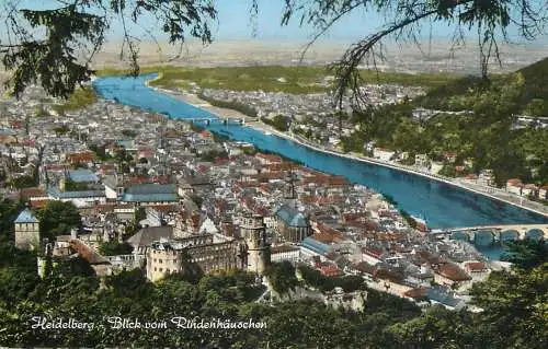 Postcard Germany Heidelberg Rindenhanochen