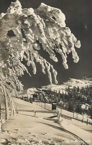 Postcard Switzerland Hotel Rigibahn