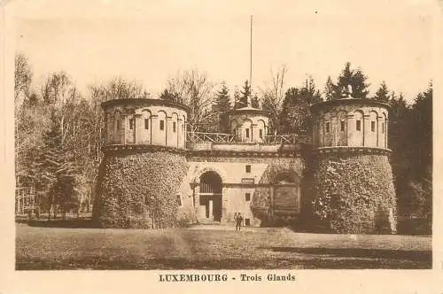 Postcard Luxembourg Trois Glands