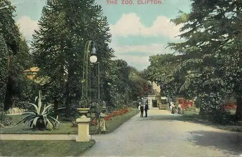 England Clifton - the Zoo