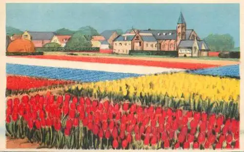 Postcard Netherlands tulip fields