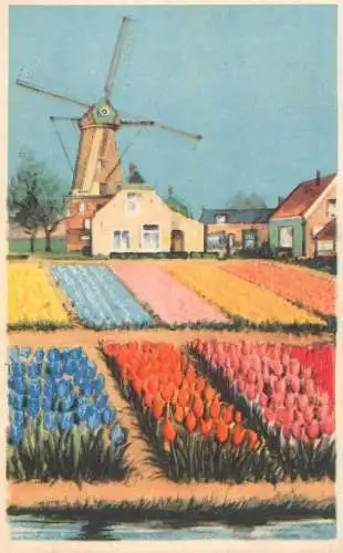 Postcard Netherlands windmill tulip field fantasy