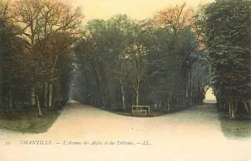 France Chantilly L'Avenue des Aigles et des Tribunes