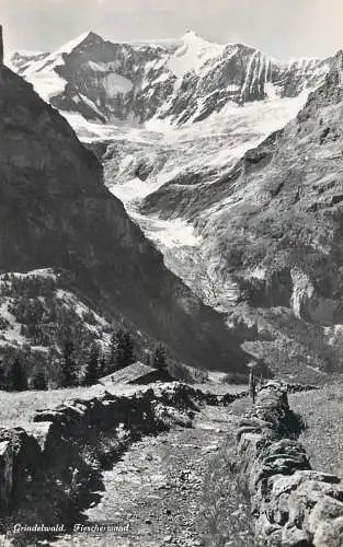 Switzerland Grindelwald Fiescherwand