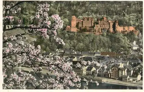 Germany Heidelberg panorama