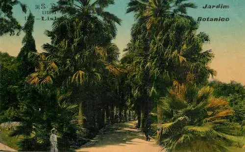 Portugal Lisboa Botanical Garden