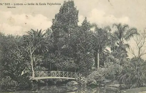 Portugal Lisboa Polytechnic School Garden