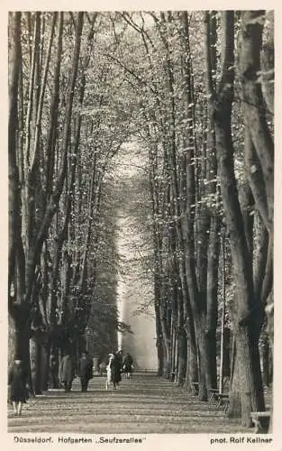 Postcard Germany Dusselforf Hofgarten Seufzerallee