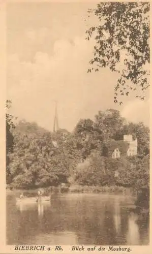 Postcard Germany Biebrich a. Rh. Mosburg