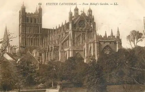 Exeter cathedral from Bishop`s Garden