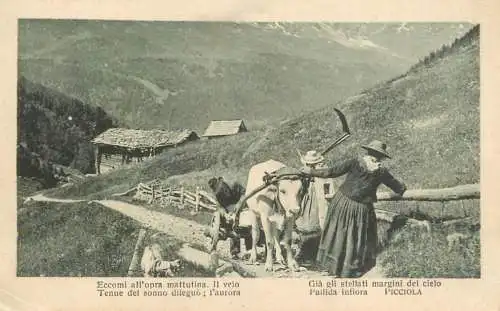 Postcard Italy Picciola agriculture