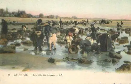 LE HAVRE - peche aux crabes