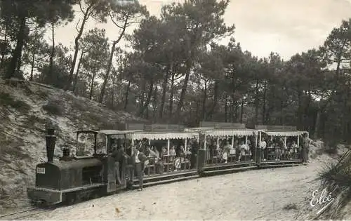 Cap Ferret petit train forestier