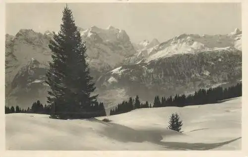 Postcard Switzerland Hasliberg Halmersmad mit Wetterhorngruppe