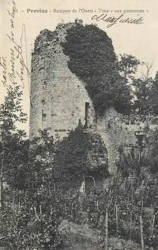 Provins Tour aux pourceaux