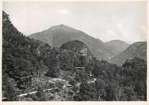 Postcard Switzerland La Ciosa wildnis