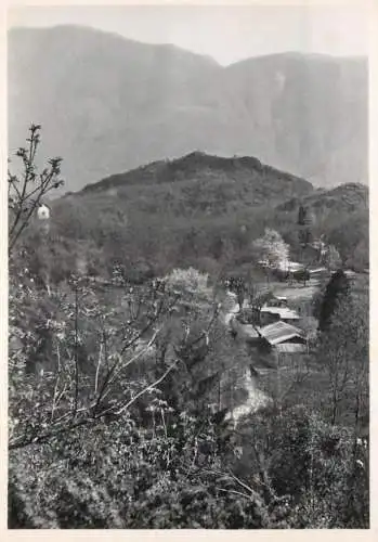 Postcard Switzerland Blick aufs Lager