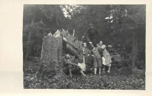 Social history souvenir photo postcard elegant friends in forest