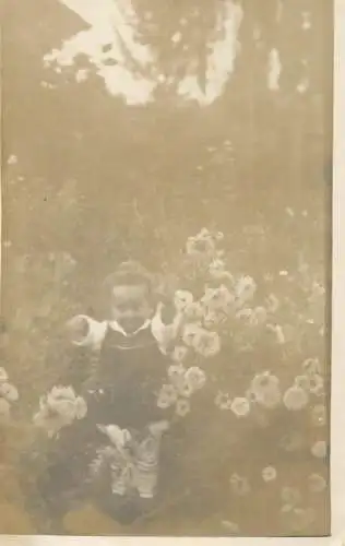 Social history souvenir photo postcard girl in flower field