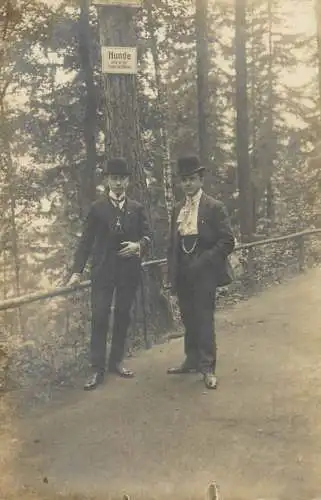 Social history souvenir photo postcard Hunde elegant young men in nature