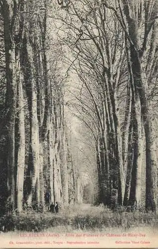 CPA France Les Riceys  allee des platanes
