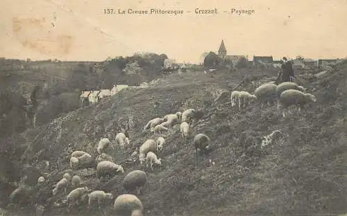 CPA France Crozant sheep heard