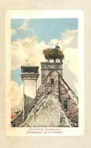 CPA France Strasbourg nid de cicogne