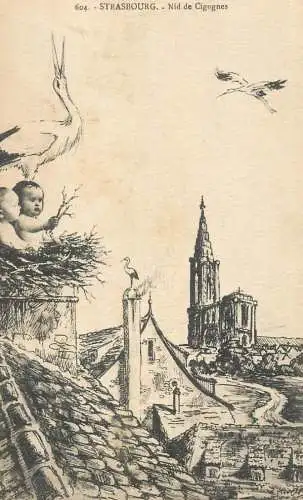 CPA France Strasbourg Nid de Cigognes