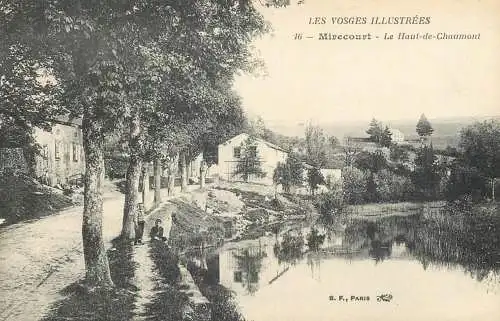 CPA France Mirecourt le Haut de Chaumont