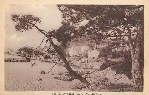 CPA France Le Lavandou