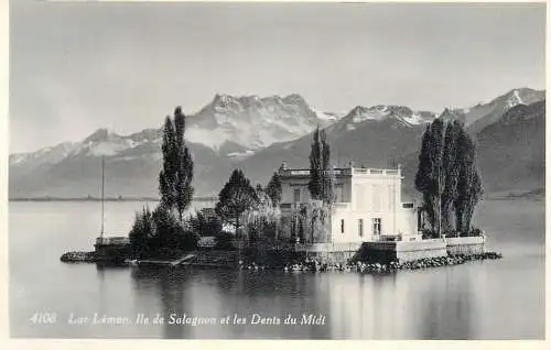 Switzerland postcard Lac Leman Ile de Salagnon et les Dents du Midi