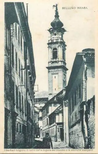 Italy postcard Belluno Invasa