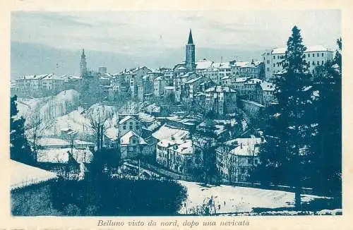 Italy postcard Belluno city view