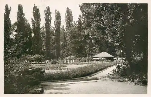 Germany postcard Landau Tierpark