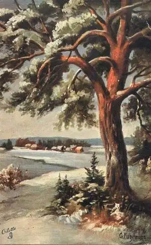 British scenic UK Oilette tree Wonderful white winter