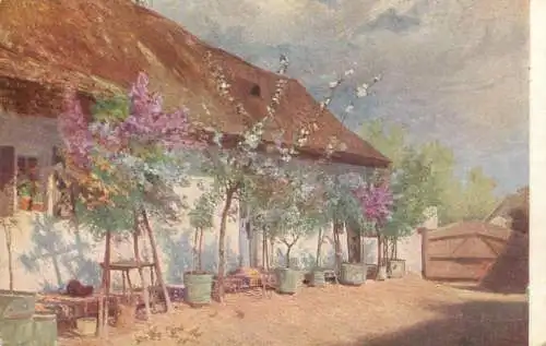 Hungary scenic farm
